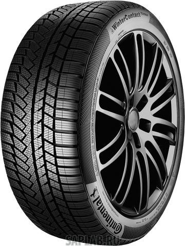 Купить CONTINENTAL 1028375 Шины Continental CONTIWINTERCONTACT TS 810 245/45R18 100V
