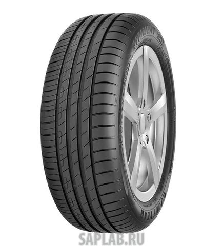 Купить GOODYEAR 542250 Шины GOODYEAR 205/60/16 H 92 EFFIGRIP PERF 2